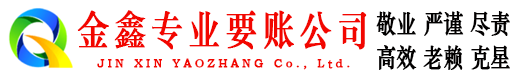 龙文追债公司
